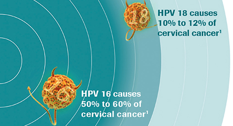 florida-reference-lab-miami-HPV-test